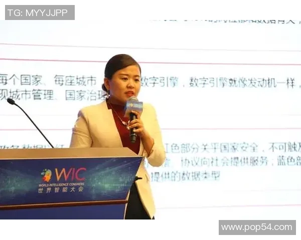 南京枫帆战队乘风破浪再创辉煌引领电竞新时代征程