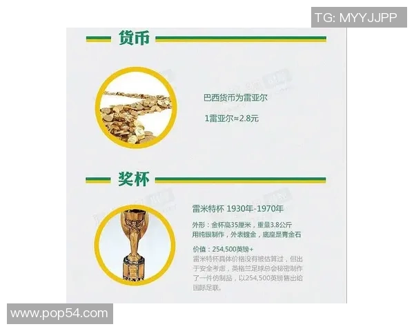 世界杯经济账主办国收益与损失的深度分析与探讨